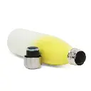 bicolor amarela 1.webp